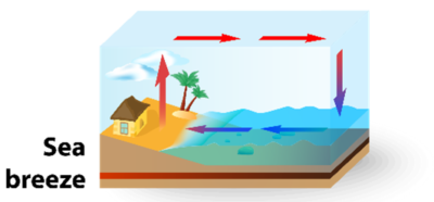 External Natural Convection — Lesson 3 - ANSYS Innovation Courses