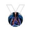 Structural Analysis of a Trachea