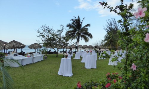 Lawn