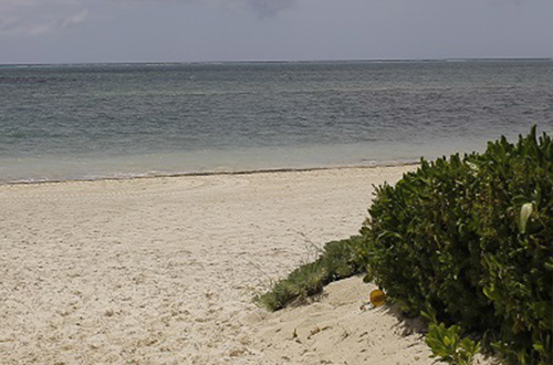 CARIBBEAN BEACH